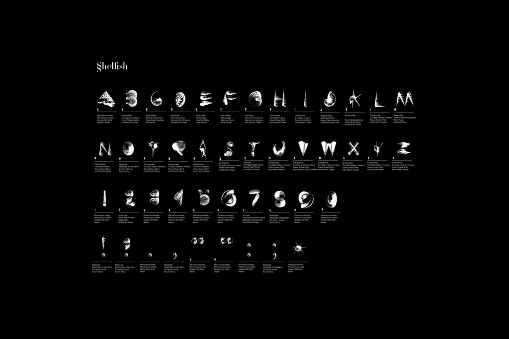 Shelfish font